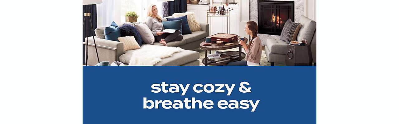 Strike the perfect balance with heaters and air purifiers.